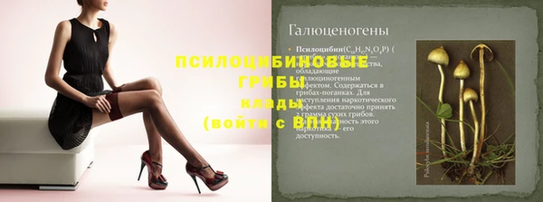 шишки Баксан