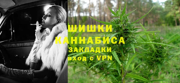 шишки Баксан