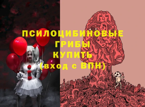 шишки Баксан